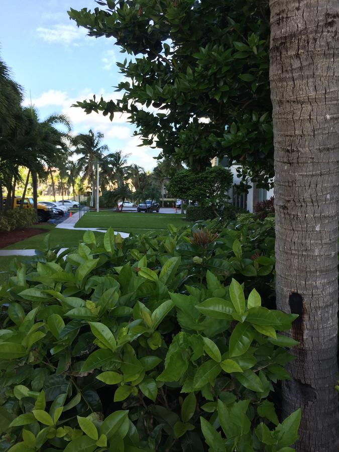 Ocean Reserve Str-01045 Miami Beach Luaran gambar