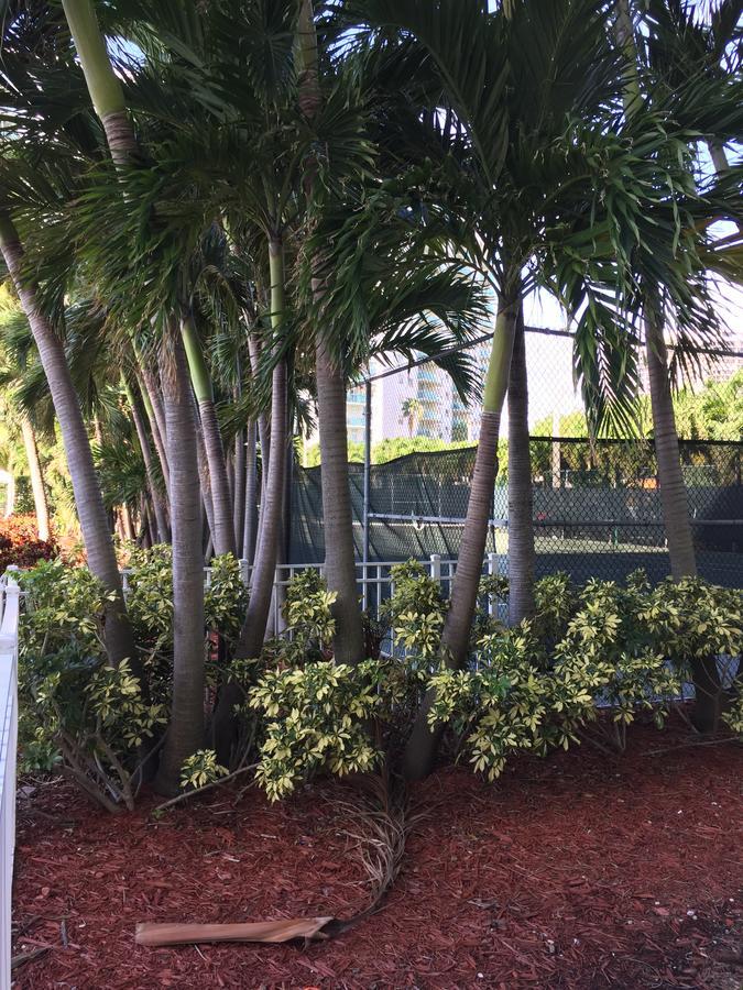 Ocean Reserve Str-01045 Miami Beach Luaran gambar